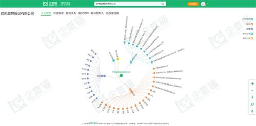 數(shù)字創(chuàng)意產(chǎn)業(yè)新浪潮 天威視訊、芒果超媒、宋城演藝等頭部企業(yè)投資動(dòng)向與數(shù)字文化創(chuàng)意軟件開發(fā)現(xiàn)狀