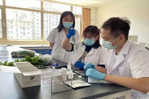 推廣應用快速檢測技術，筑牢農產品質量安全“最初一公里”防線