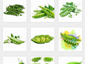綠色豌豆 有機(jī)蔬菜的清新之選——素材海報(bào)與商業(yè)應(yīng)用指南